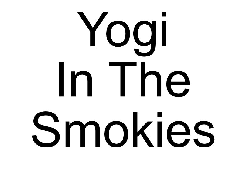 yogi.jpg