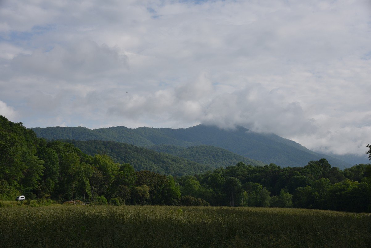 dsc_7156_fs.jpg