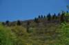 dsc_7236_fs_small.jpg