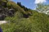 dsc_7242_fs_small.jpg