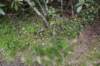 dsc_7310_fs_small.jpg