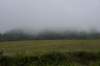 dsc_7398_fs_small.jpg