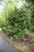 dsc_7424_fs_small.jpg