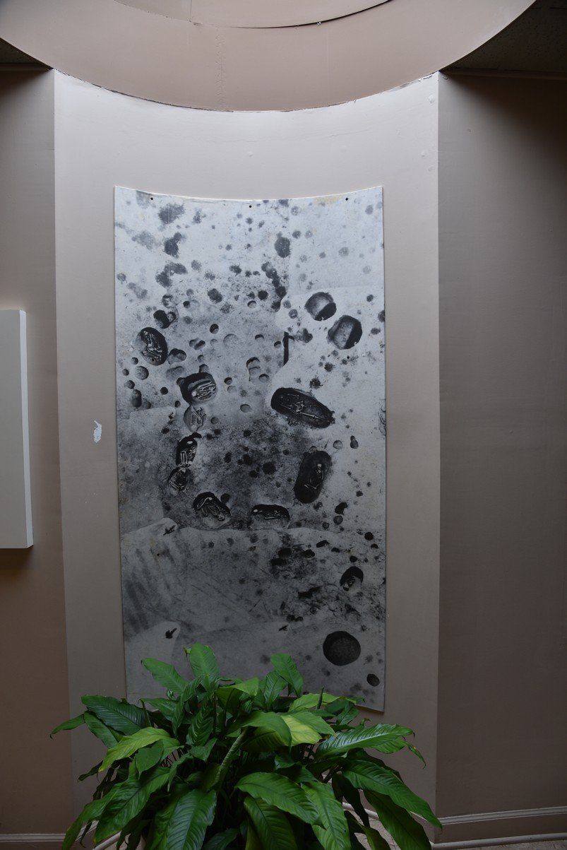 dsc_7564_fs.jpg