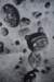 dsc_7566_fs_small.jpg