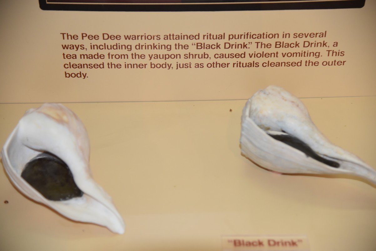 dsc_7570_fs.jpg