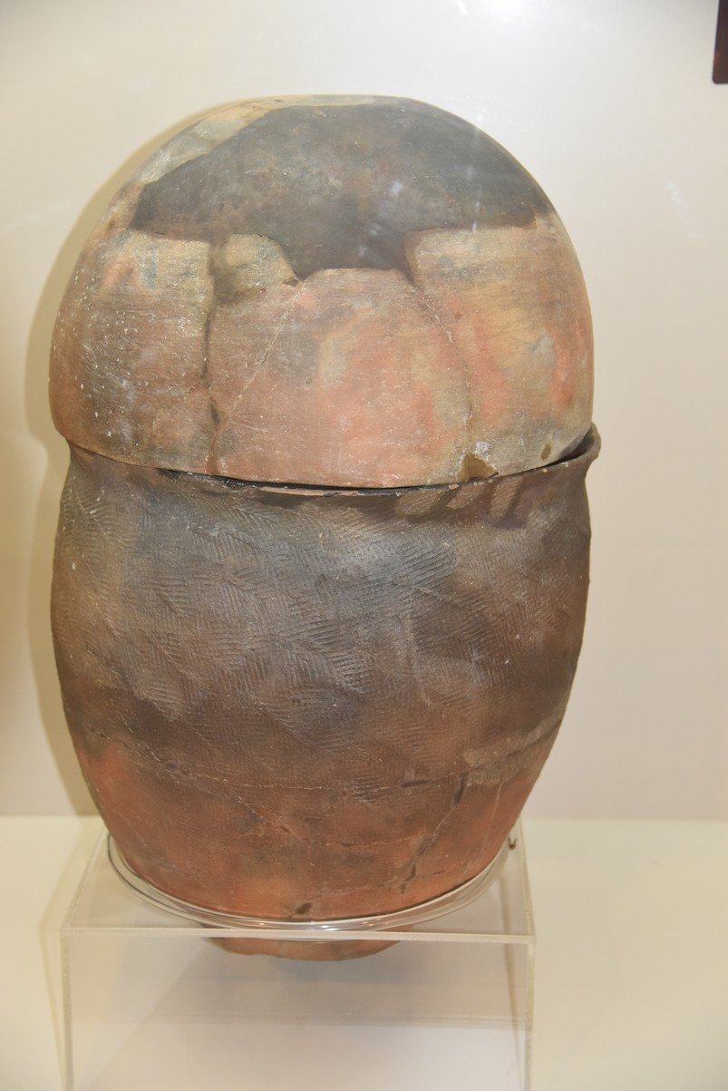 dsc_7572_fs.jpg