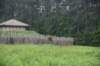 dsc_7577_fs_small.jpg