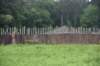 dsc_7580_fs_small.jpg