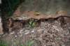 dsc_7591_fs_small.jpg