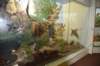dsc_7644_fs_small.jpg