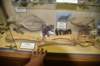 dsc_7646_fs_small.jpg