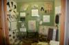 dsc_7679_fs_small.jpg