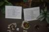 dsc_7738_fs_small.jpg
