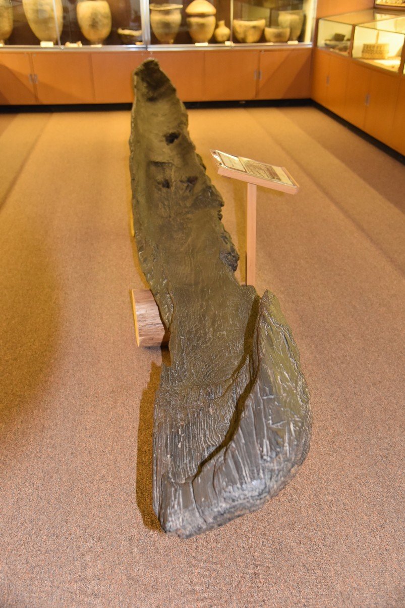 dsc_7747_fs.jpg