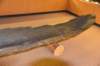 dsc_7753_fs_small.jpg