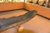 dsc_7754_fs_small.jpg