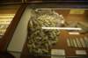dsc_7768_fs_small.jpg