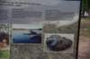 dsc_7841_fs_small.jpg