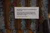 dsc_8124_fs_small.jpg