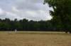 dsc_8264_fs_small.jpg