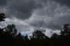 dsc_8618_fs_small.jpg
