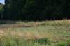dsc_8857_fs_small.jpg