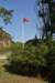 dsc_8876_fs_small.jpg