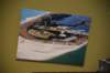 dsc_8883_fs_small.jpg