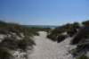 dsc_8907_fs_small.jpg