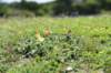 dsc_8923_fs_small.jpg