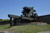 dsc_8929_fs_small.jpg