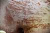 dsc_8984_fs_small.jpg
