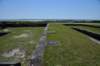 dsc_8991_fs_small.jpg