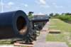 dsc_9008_fs_small.jpg