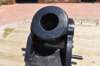 dsc_9013_fs_small.jpg