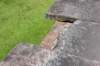 dsc_9014_fs_small.jpg