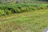 dsc_9028_fs_small.jpg