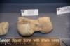 dsc_9039_fs_small.jpg
