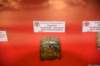 dsc_9051_fs_small.jpg