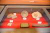 dsc_9059_fs_small.jpg