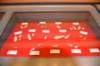 dsc_9060_fs_small.jpg