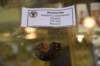 dsc_9063_fs_small.jpg