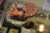dsc_9064_fs_small.jpg