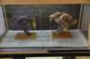 dsc_9069_fs_small.jpg