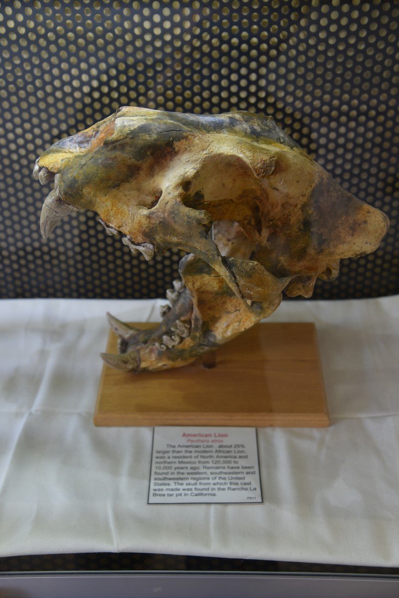 dsc_9071_fs.jpg