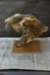 dsc_9071_fs_small.jpg