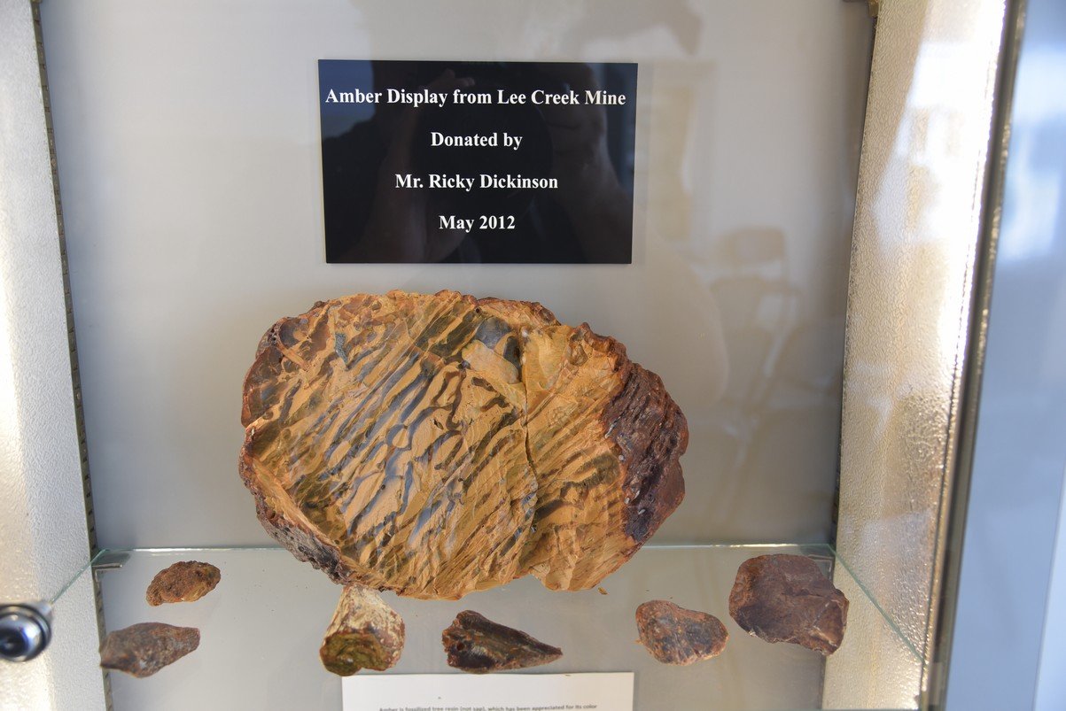 dsc_9075_fs.jpg