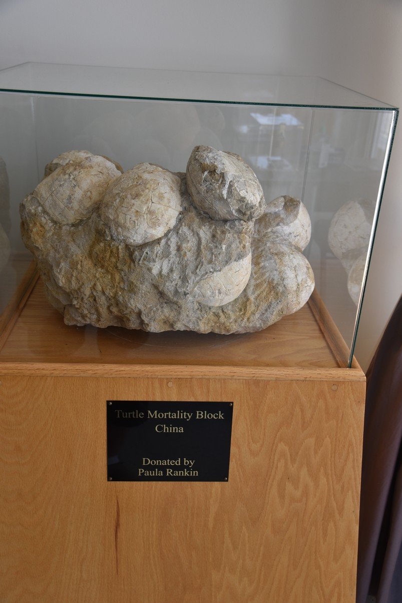 dsc_9079_fs.jpg