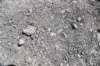 dsc_9080_fs_small.jpg